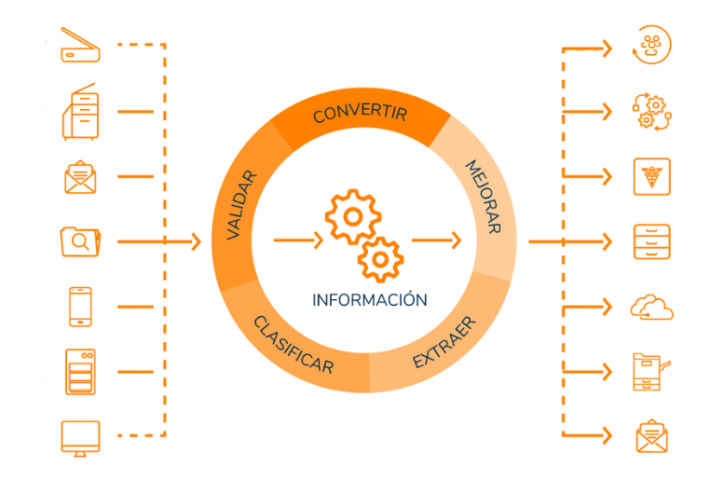 Fases de los procesos de negocio con ELO